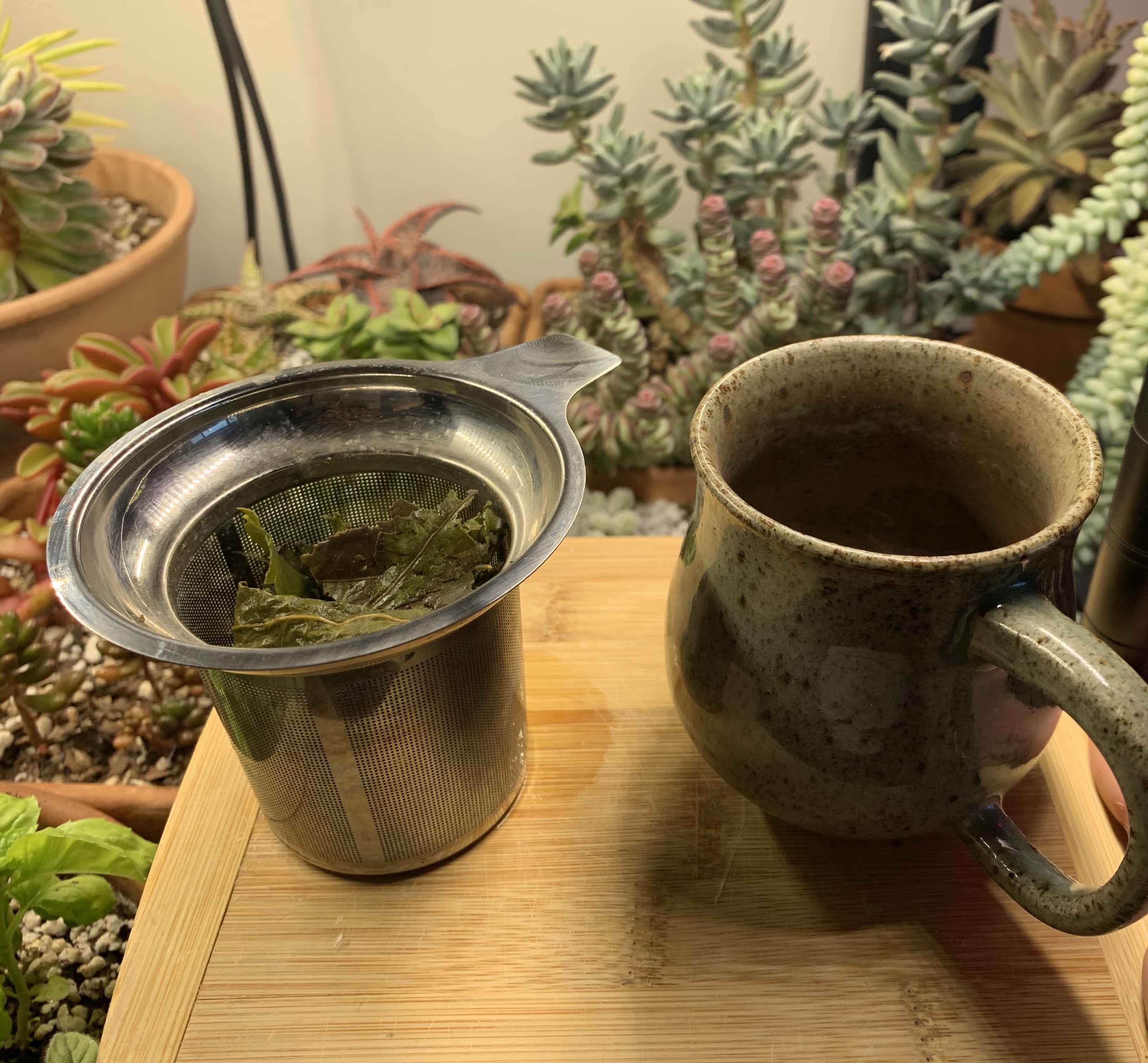 Typical, cheap loose leaf tea brew basket